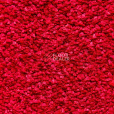 Ковролин AW Masquerade Certosa 10 фото 1 | FLOORDEALER